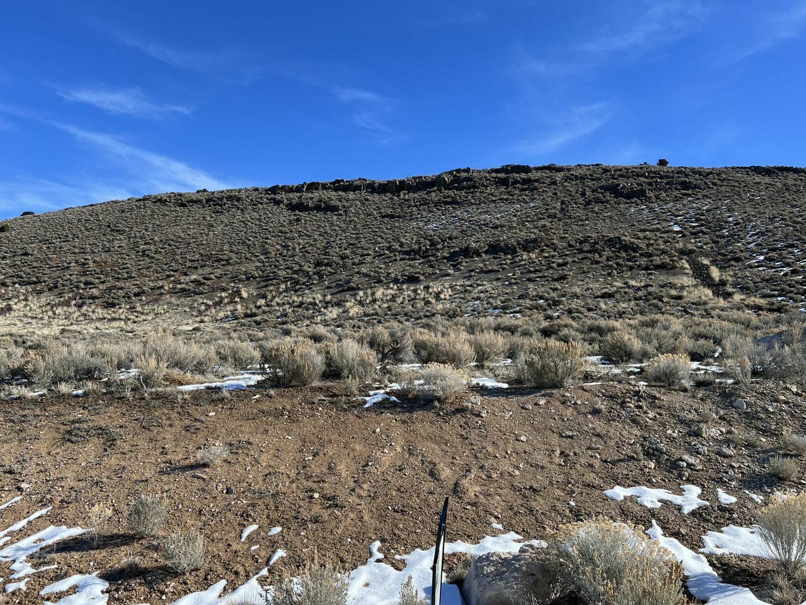 Property Photo:  Amber Way  NV 89801 