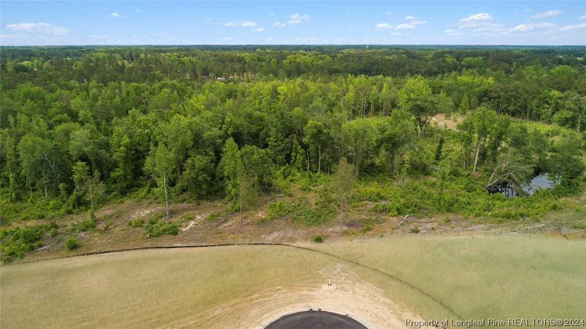 Property Photo:  Lot 29 Mabon Court  NC 28312 