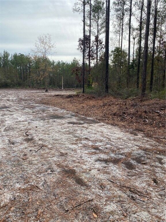 Property Photo:  Lot 127 Colonial Coast Circle SE  GA 31331 