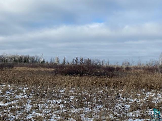 Property Photo: Xxxx Ritzen Rd WI 54854