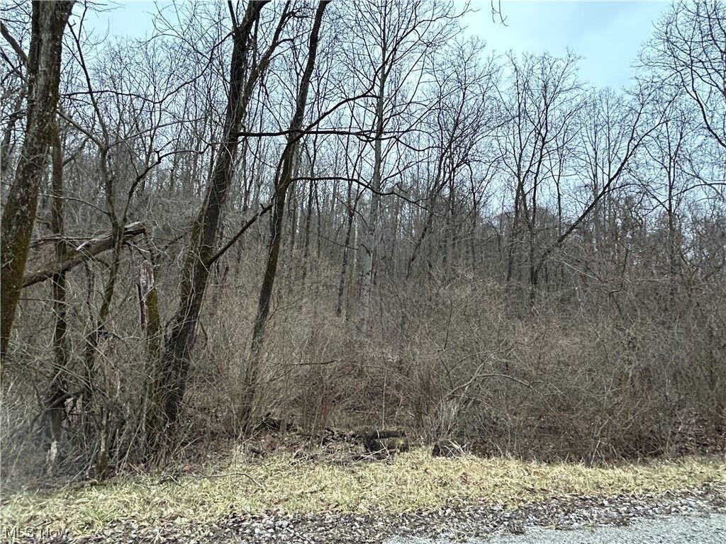 Property Photo:  62323 Greenlawn  OH 43773 