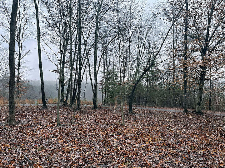 Property Photo: Lot 87 Stillwater KY 42642