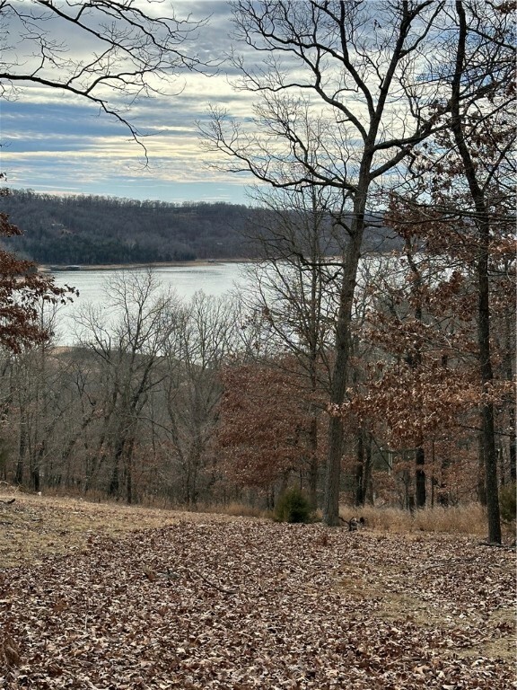 Property Photo:  Timber Lake & Clearwater Lane  AR 72631 