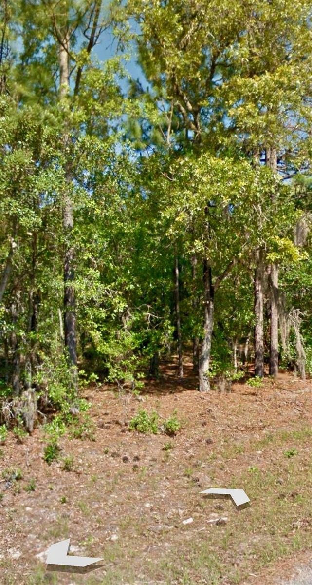 Property Photo:  9042 N Commodore Drive  FL 34434 