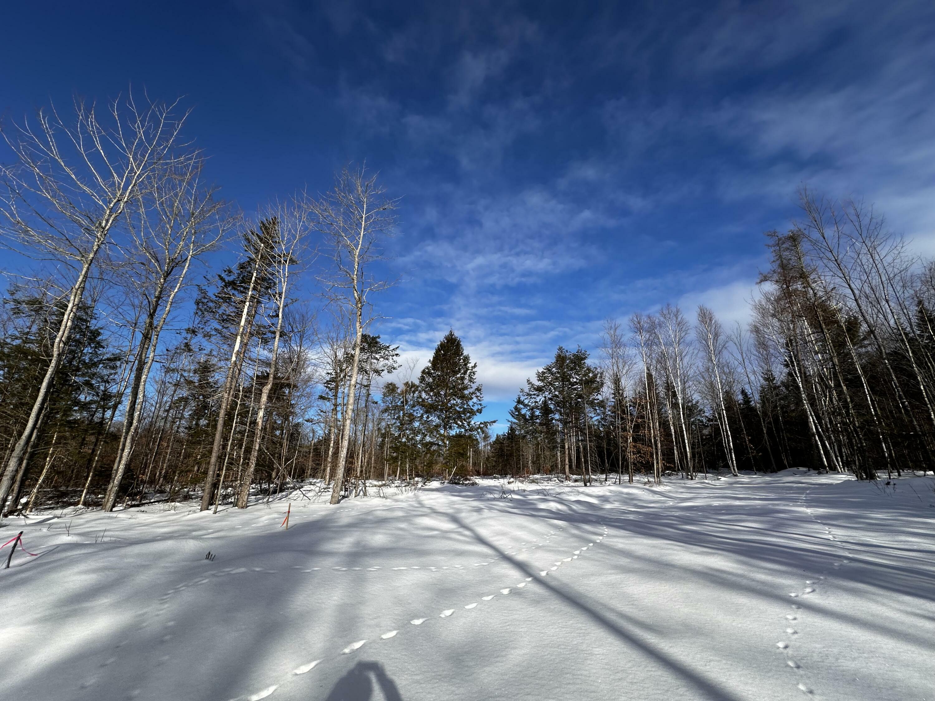 Property Photo:  0 Schoodic Lake Road  ME 04414 