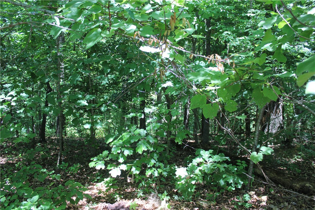 Property Photo:  Lot 2 Kintyre Drive  AR 72715 