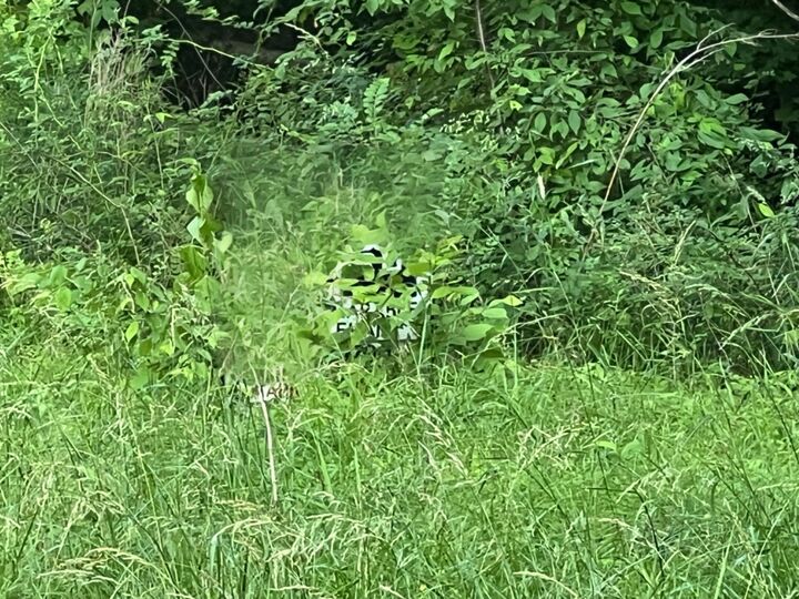 Property Photo:  3 Jarrell Ridge Rd  TN 37043 