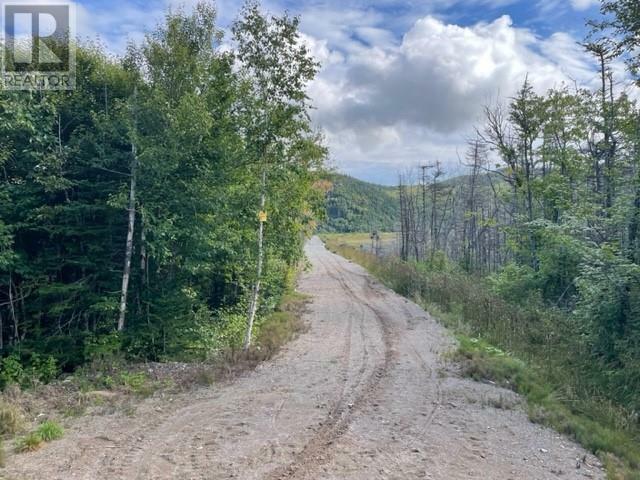 Property Photo:  460 Route - White'S Road  NL A2N 2Y4 