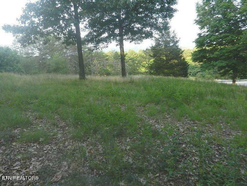 Property Photo:  2630 Decatur Hwy  TN 37763 