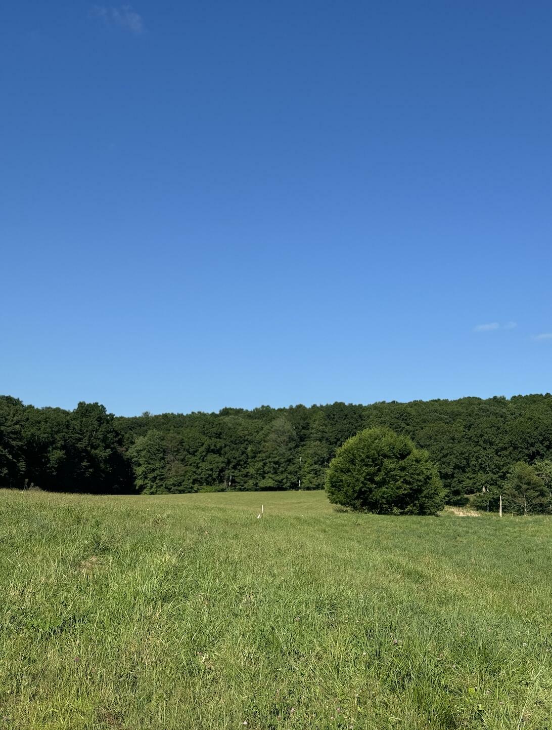 Property Photo: 0 Old Dirt Road TN 37338