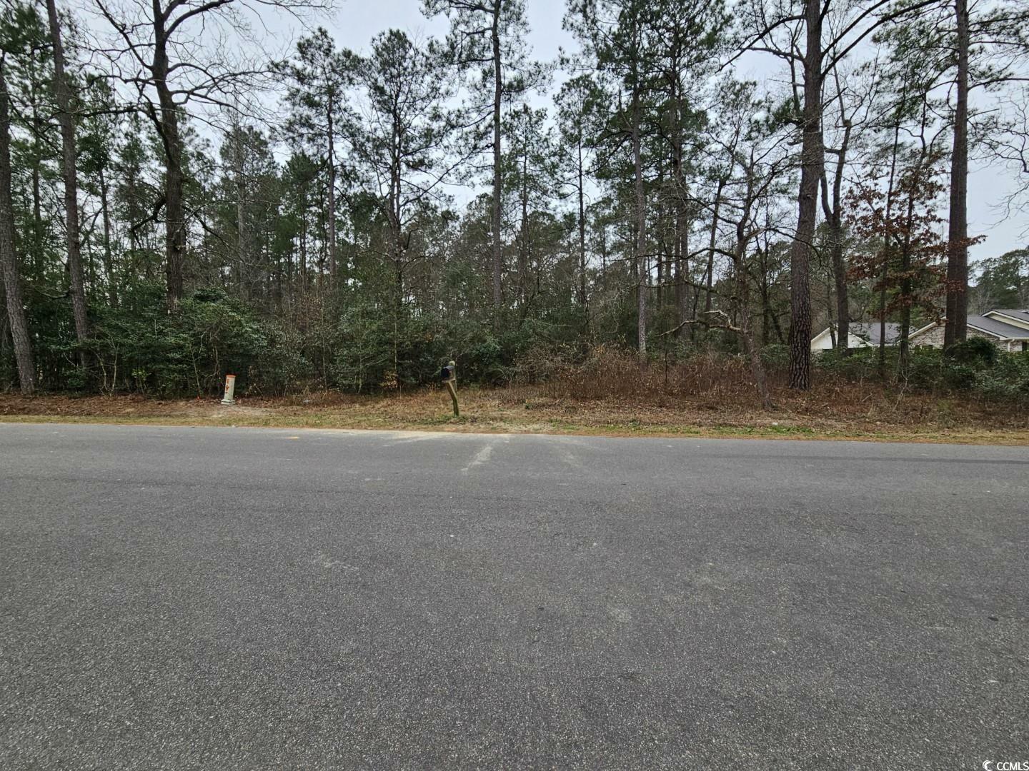 Property Photo:  Tbd Lot 3 White Oak Ln.  SC 29544 