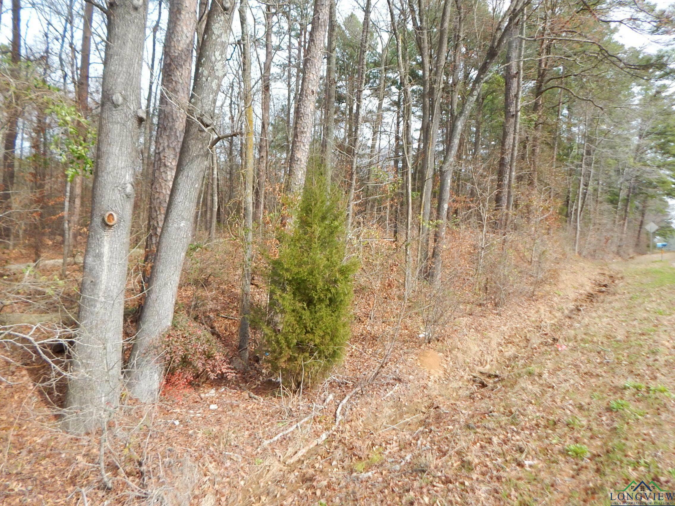 Property Photo:  Tbd 11.72 Acres George Richey  TX 75693 