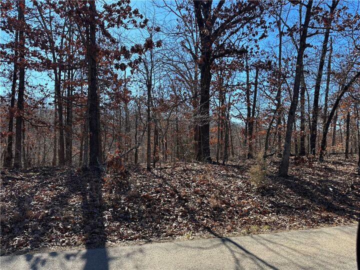 Lot 1, Block 7 Berkshire Drive  Bella Vista AR 72714 photo