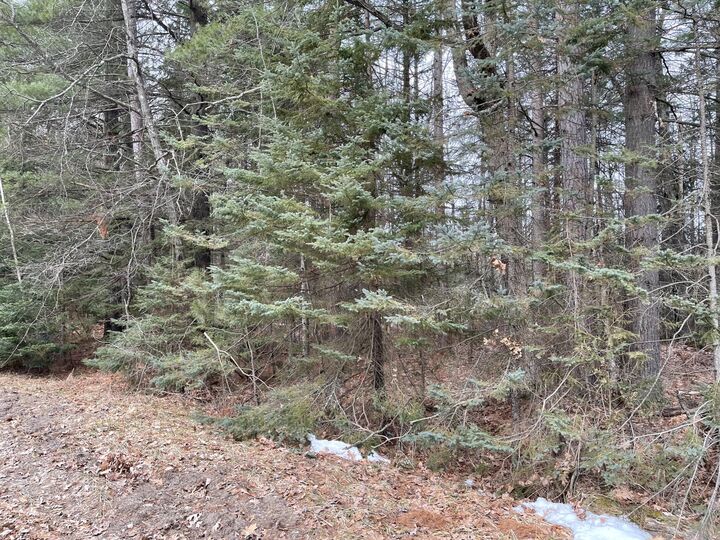 Deer Run Boulevard Lots#441-444  Houghton Lake MI 48629 photo