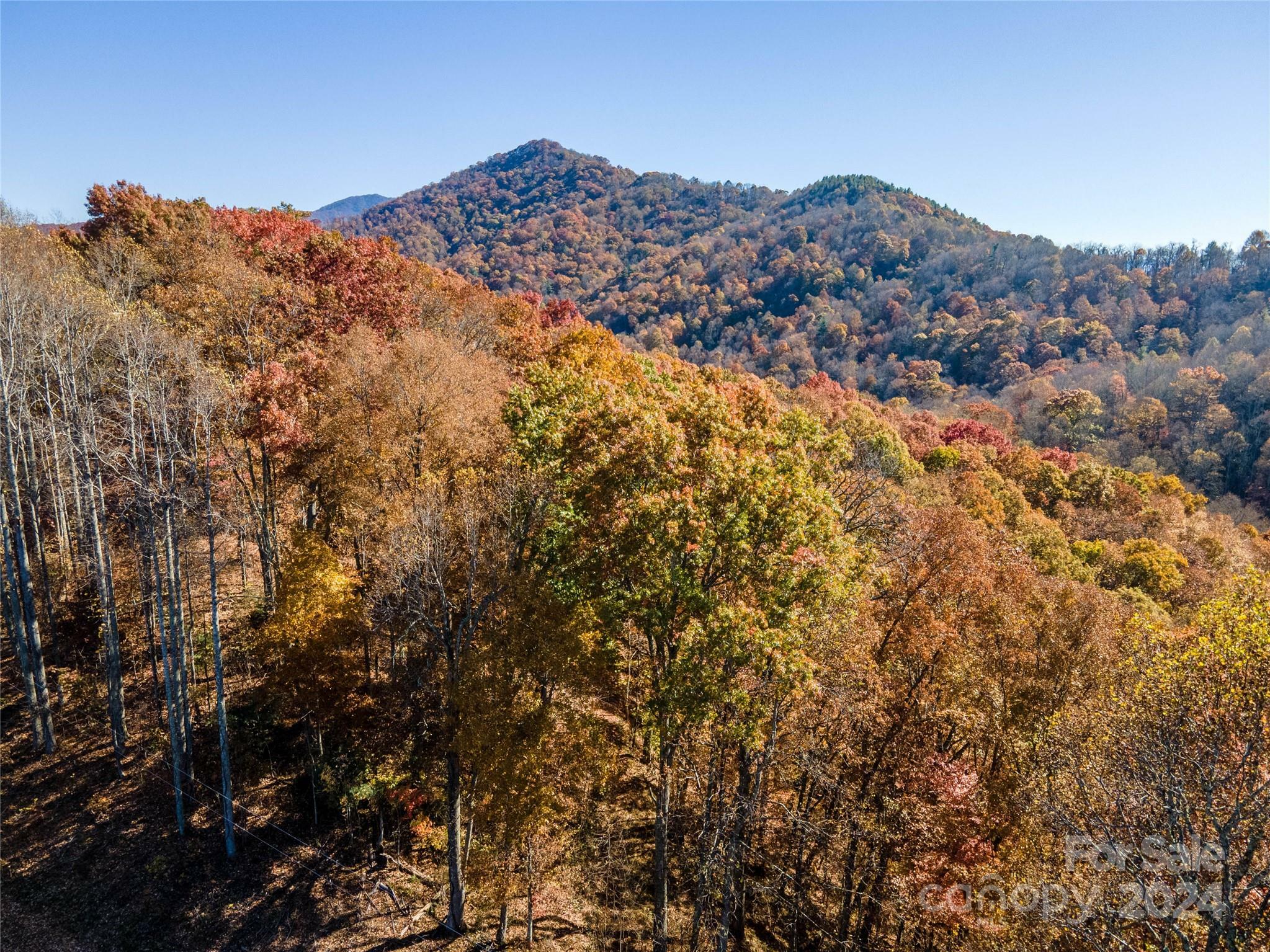 Property Photo:  Lot 18 Bucks Ridge 18  NC 28721 