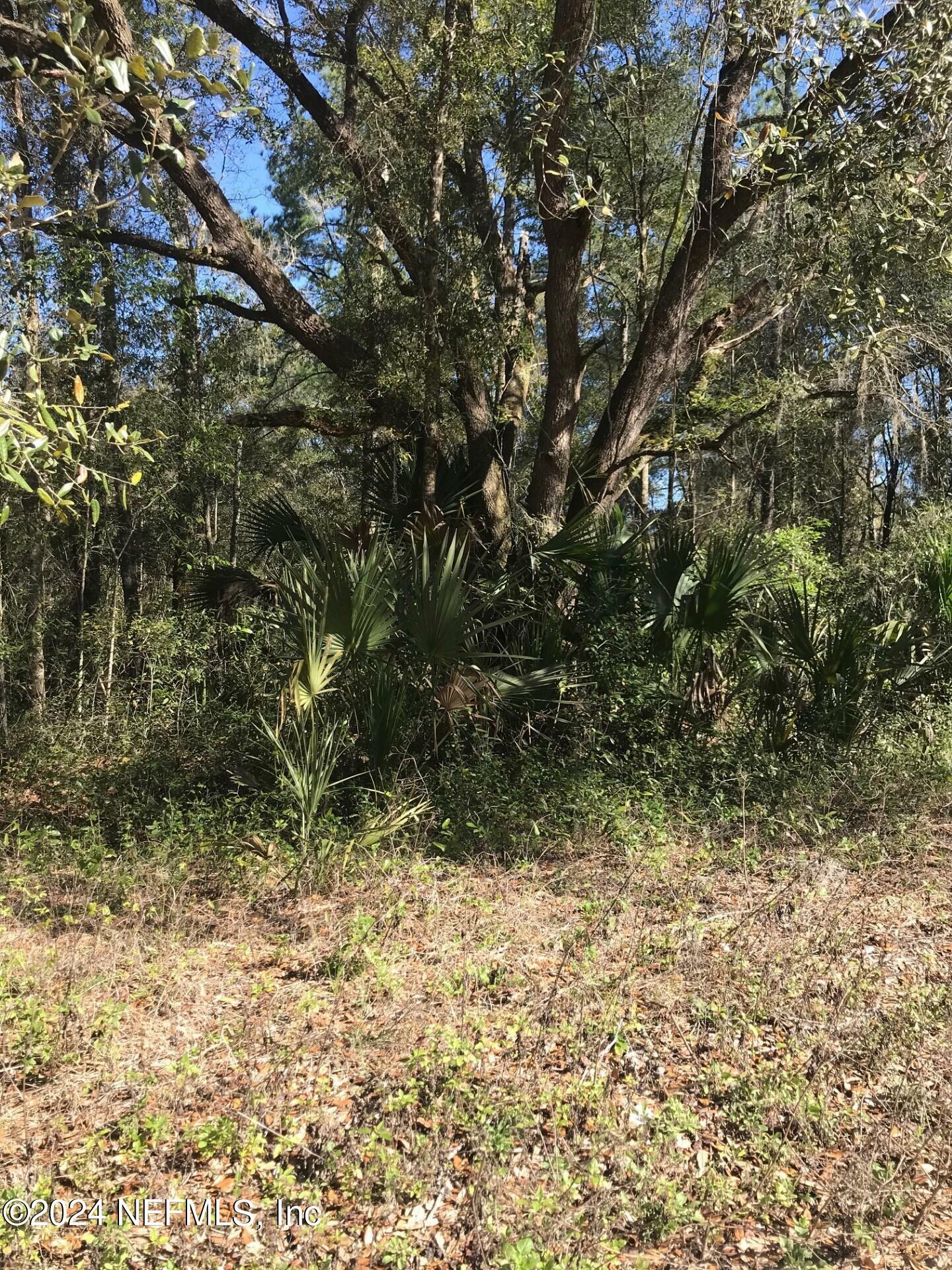 Property Photo:  0 Kin Street  FL 32148 