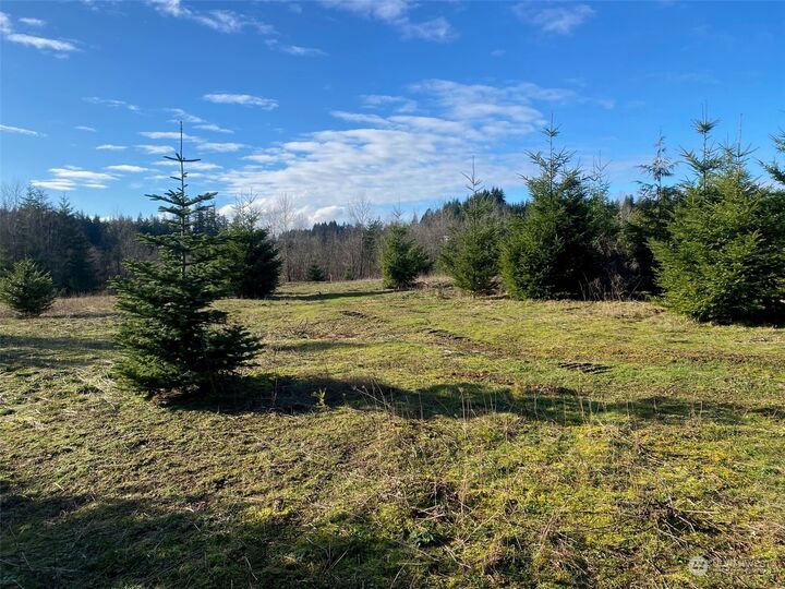 Property Photo: 0 Lot 2 Brockway Road WA 98532