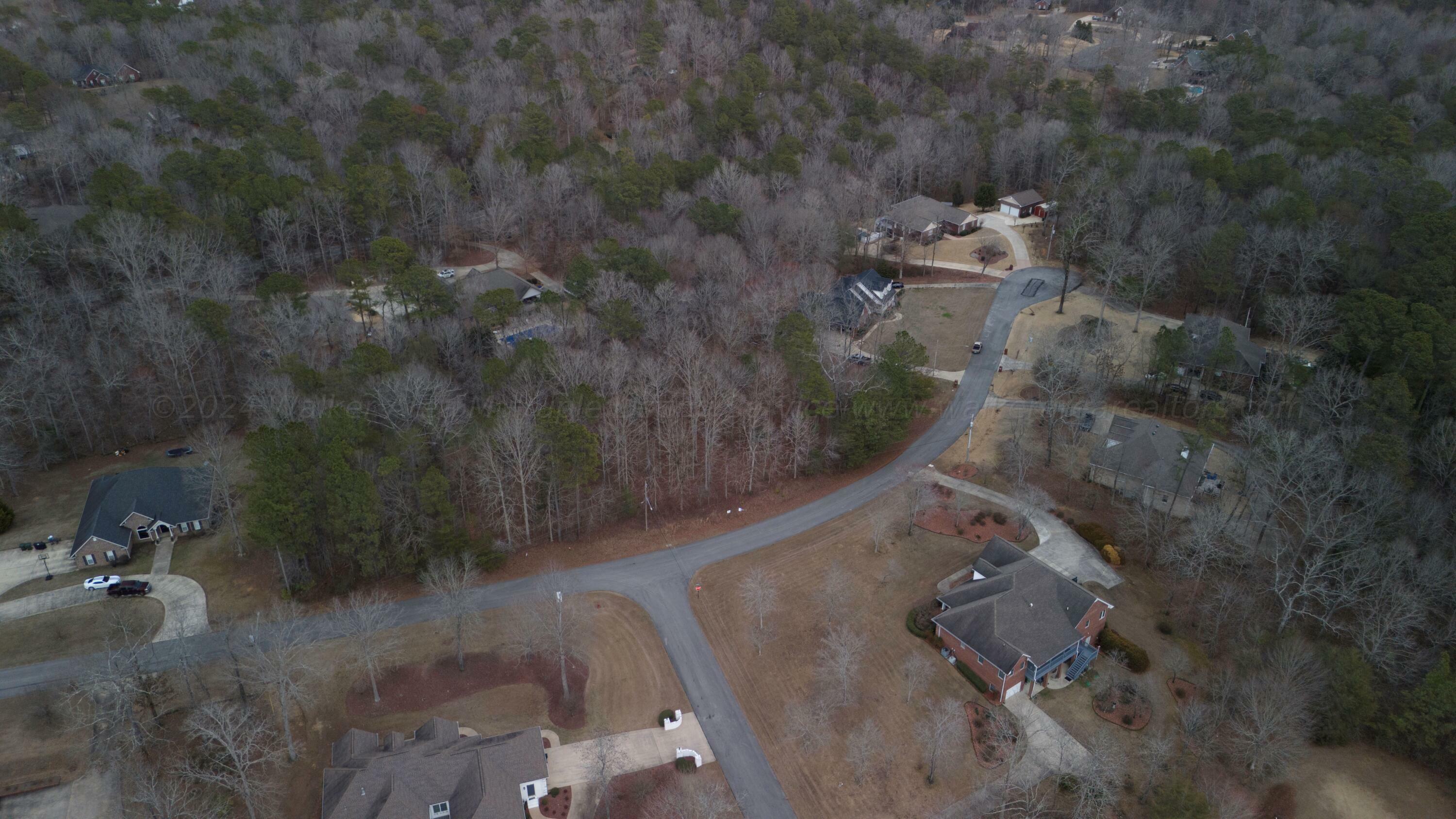 Property Photo:  Lot 37 Loblolly Ln  AL 35504 