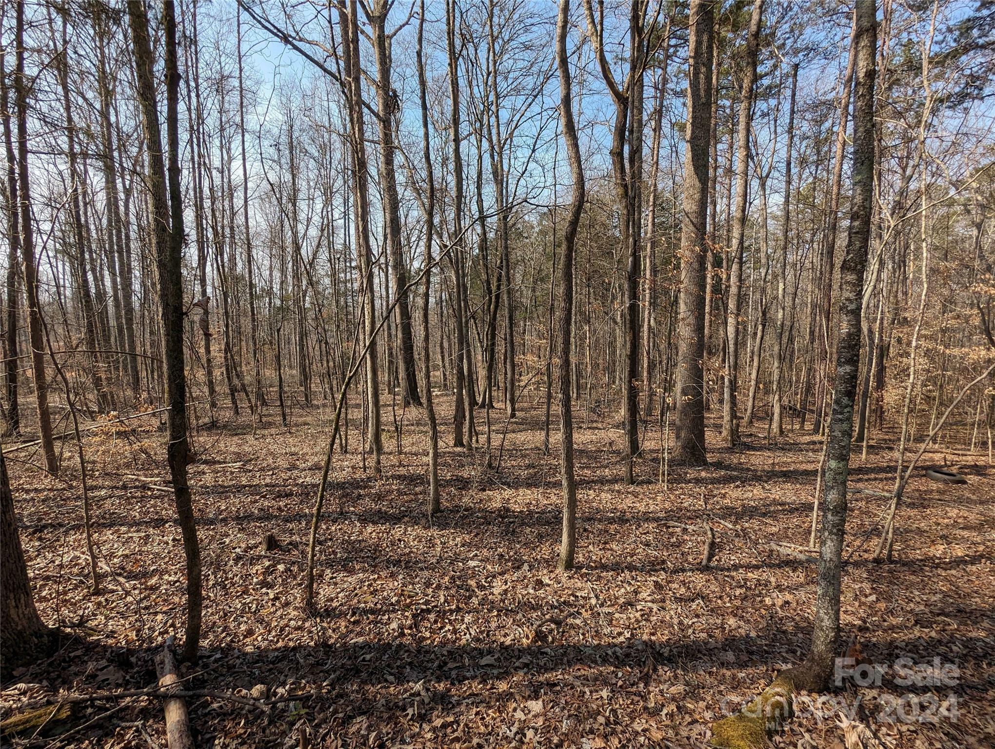 Property Photo:  2425 Jim McCarter Road S  SC 29745 