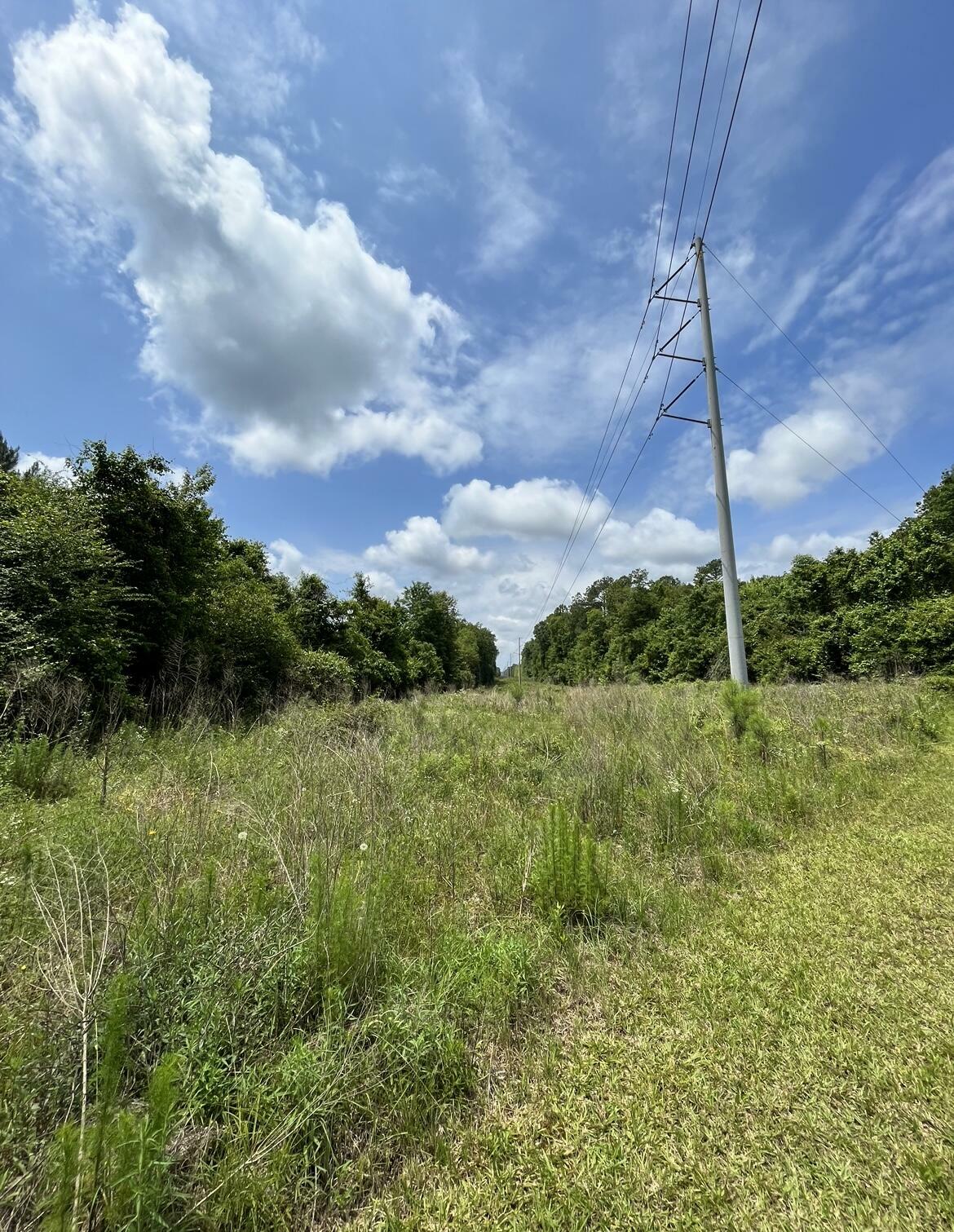 Property Photo:  000 Township Rd.  MS 39443 