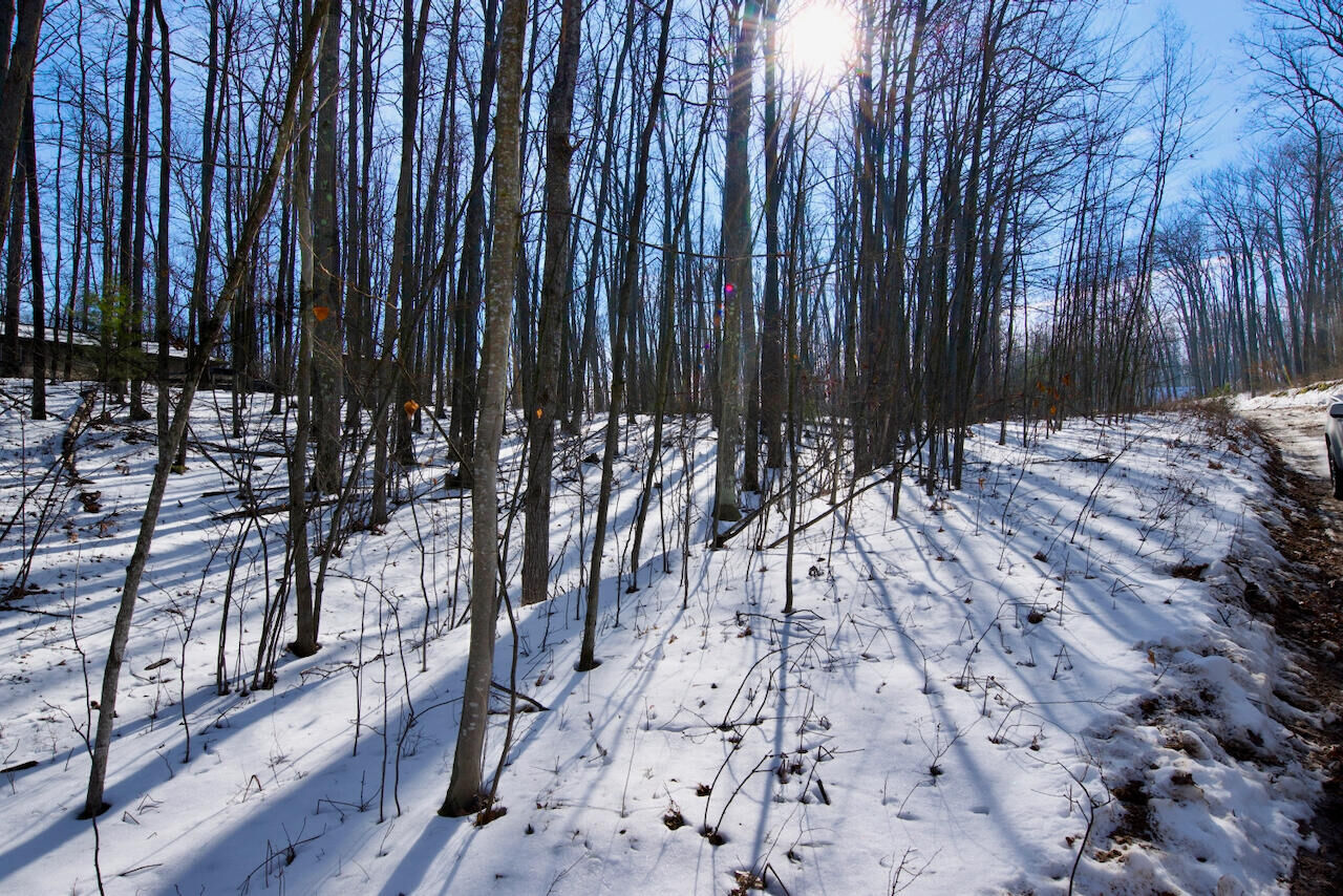 Property Photo:  381 &Amp 382 Beechwood Drive  MI 48653 