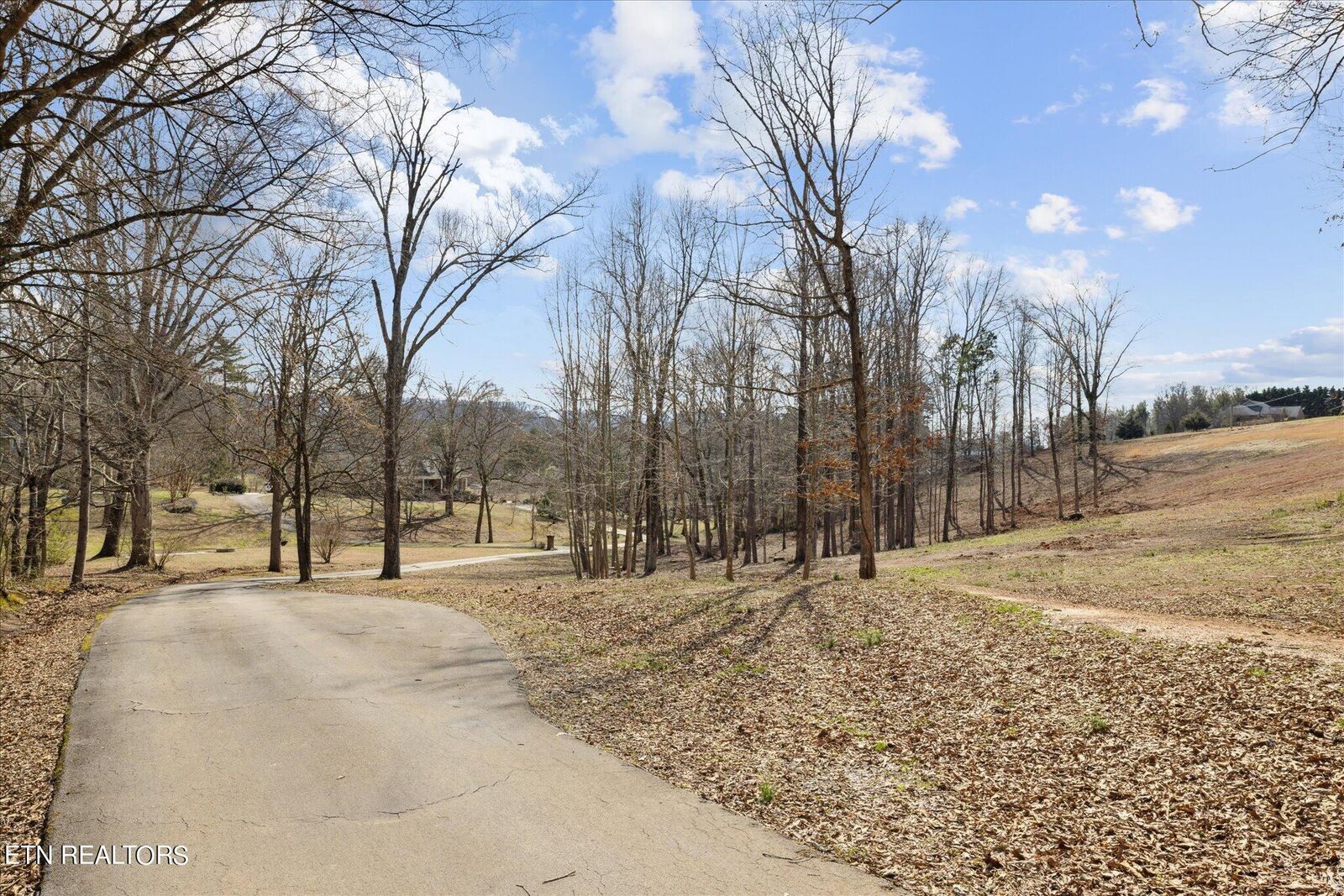 Property Photo: Little Best Rd TN 37803