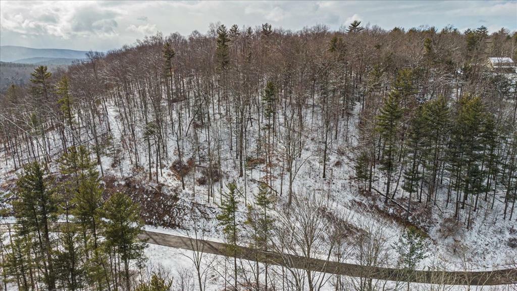 Property Photo:  Lot 33 Hemlock Hills Rd  PA 18848 