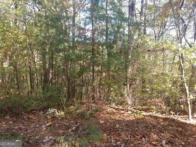 Property Photo:  Lt 45 Amy Creek Drive  GA 30540 