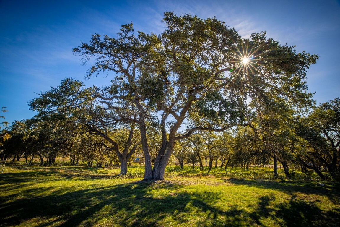 Property Photo:  608 Rangeland Road  TX 78606 