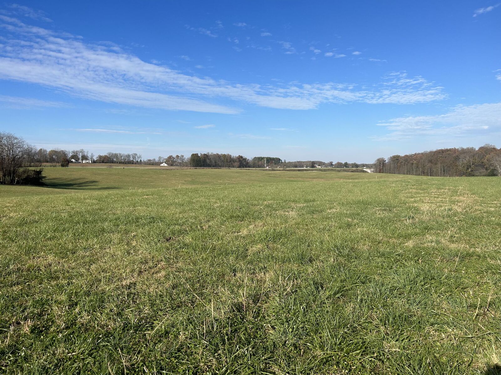 Property Photo: 9999 State Hwy 1006 KY 40744