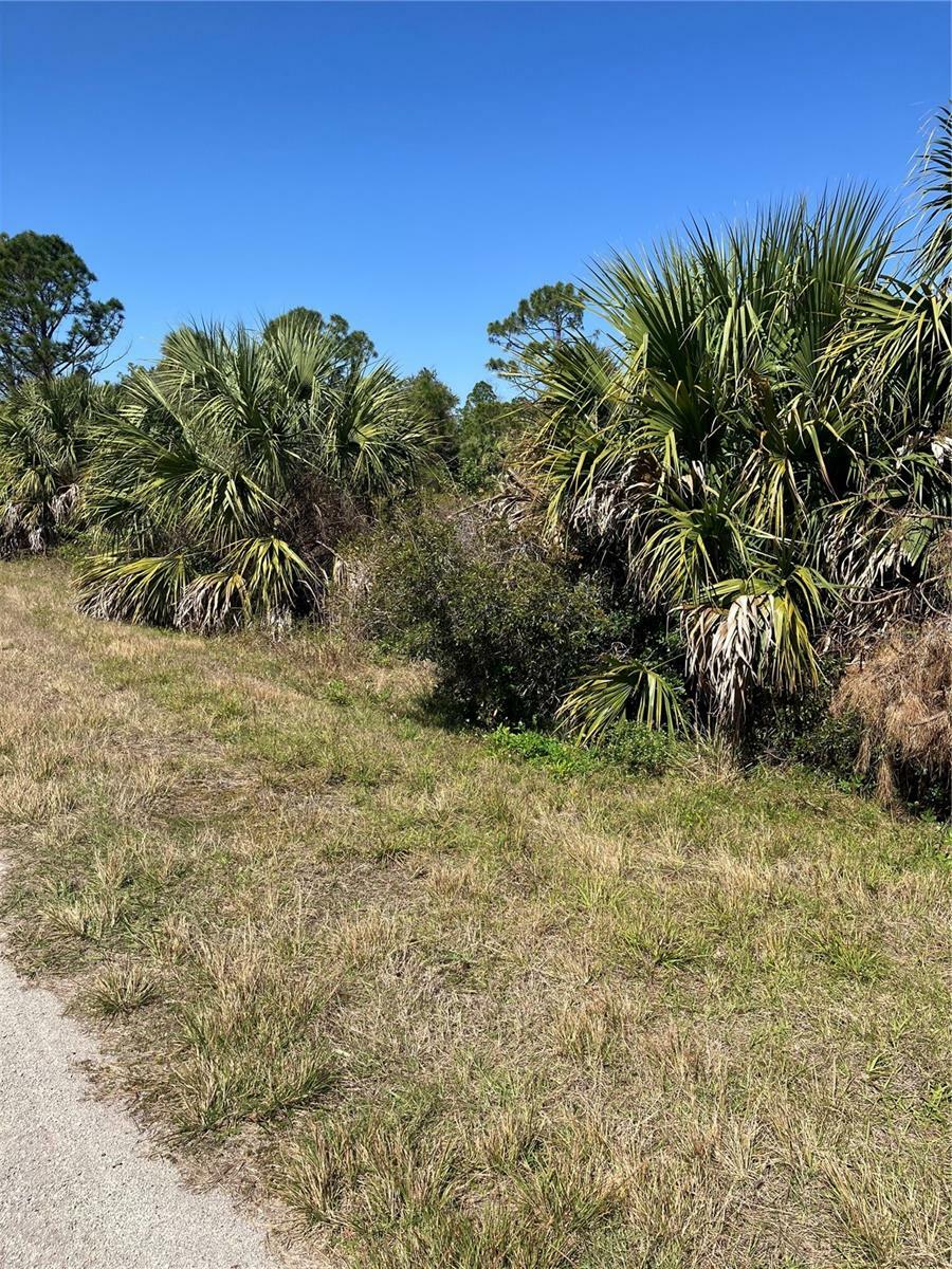 Property Photo:  Bignay Road  FL 34288 