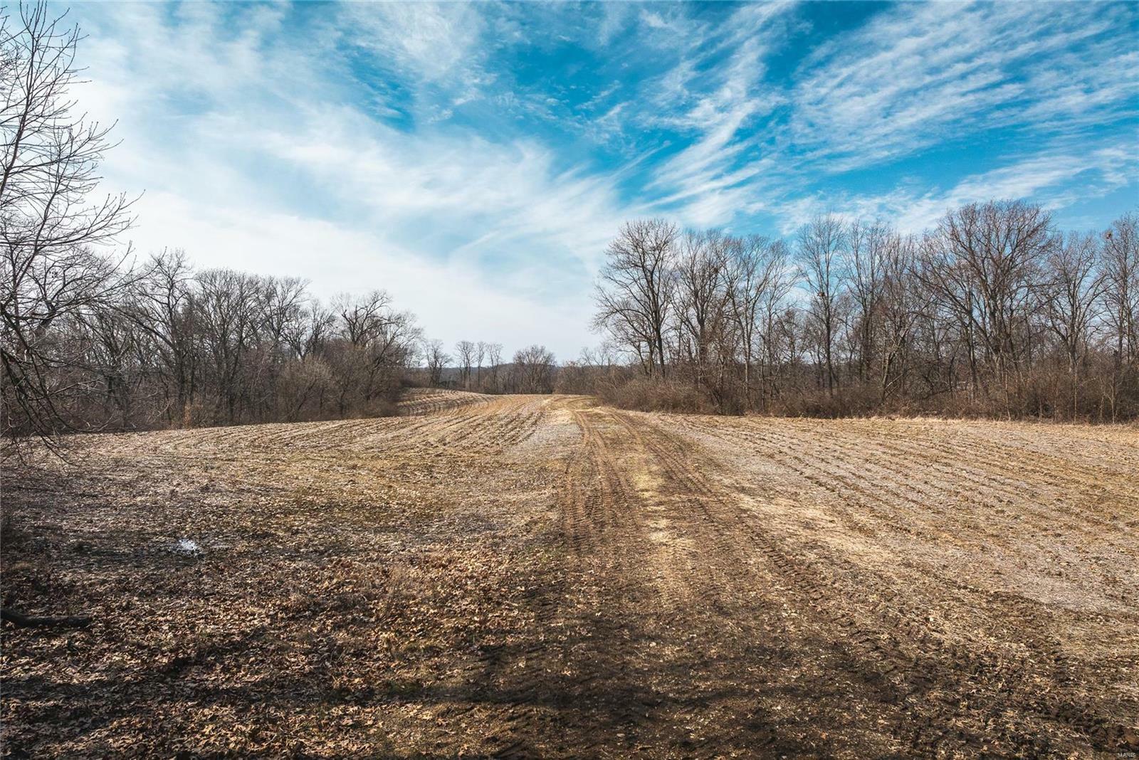 Property Photo:  0 Beaver Lake Road  IL 62031 