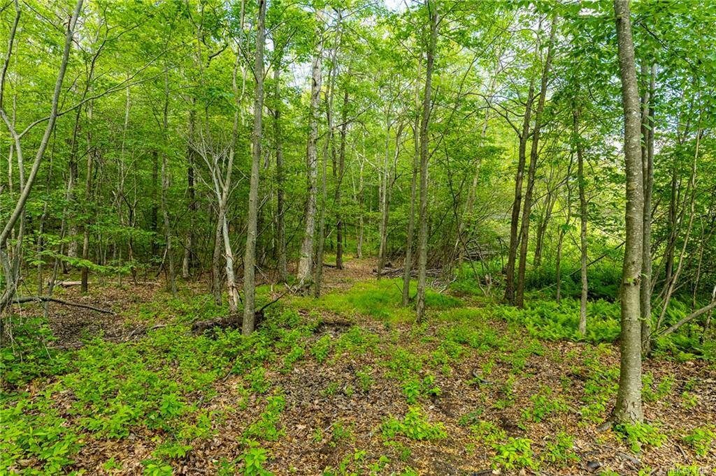 Property Photo:  Charlie Hill Road  NY 12546 