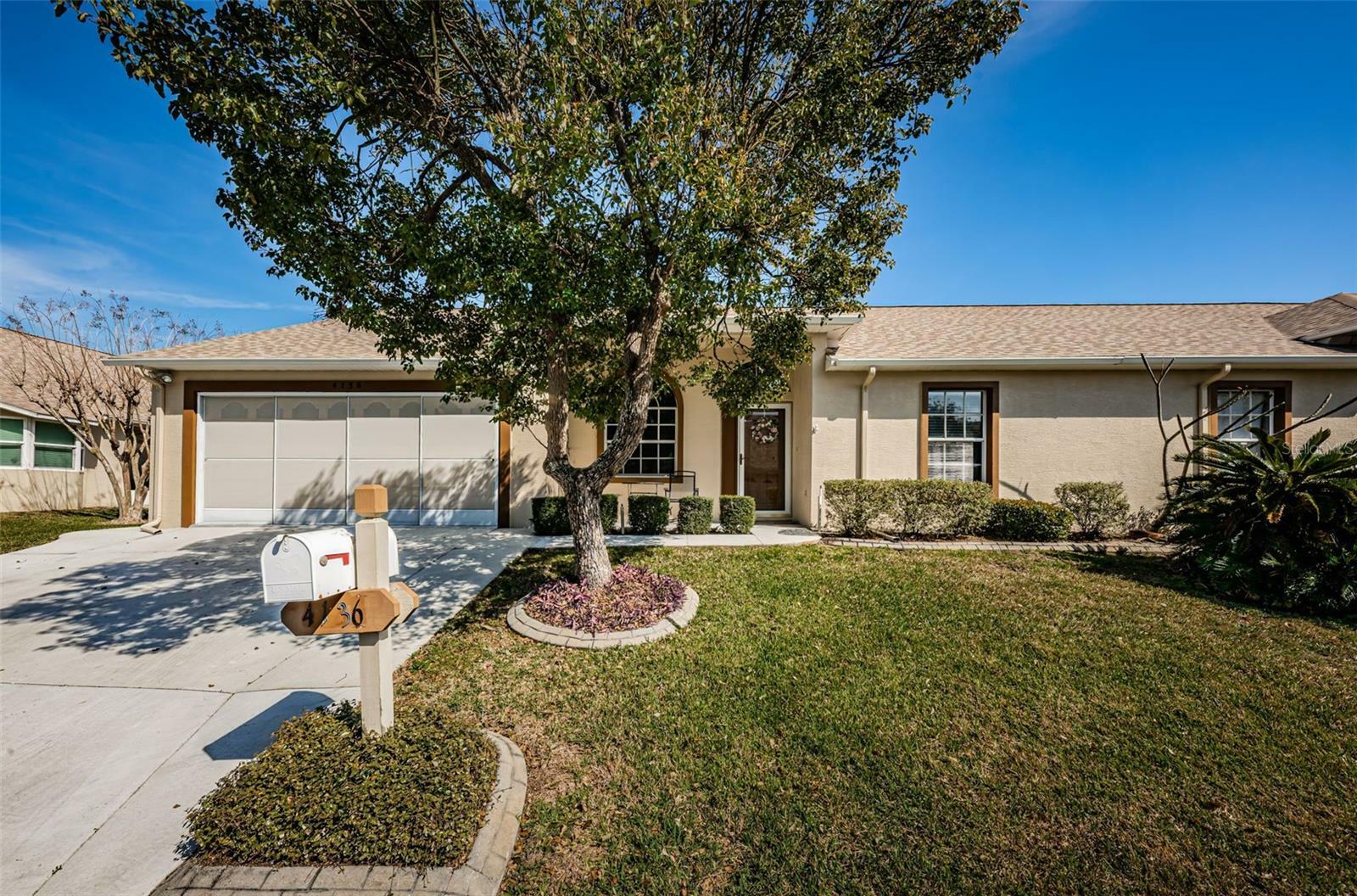 Property Photo: 4136 Rhone Drive FL 34655