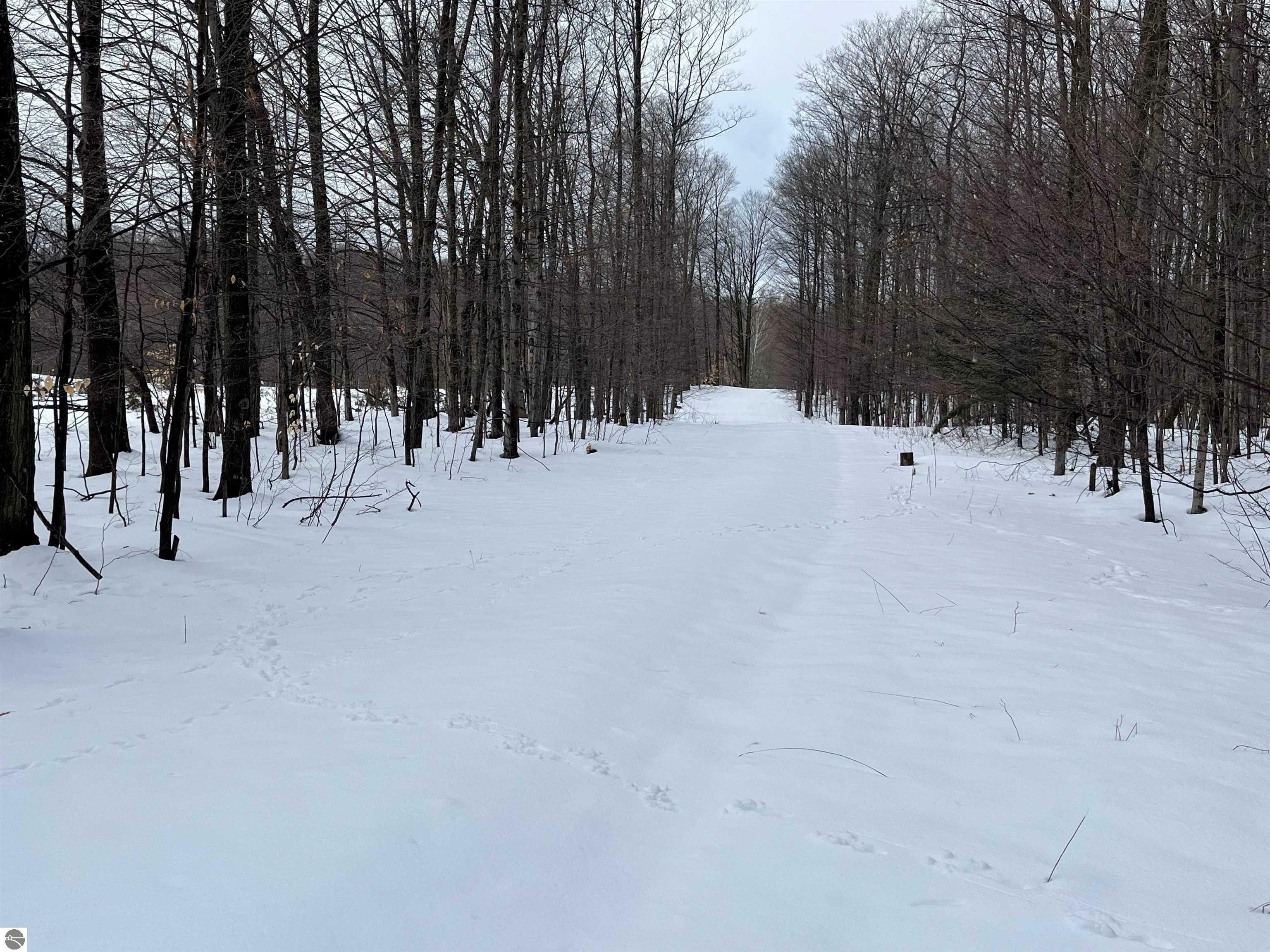 Property Photo:  S Benzonia Trail  MI 49630 