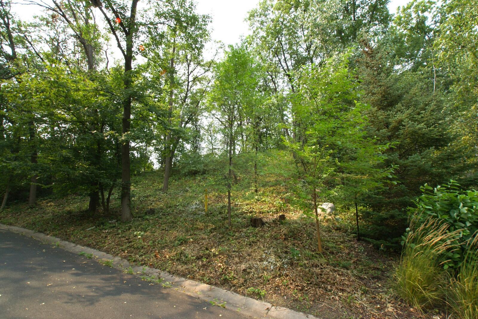 Property Photo: 1408 Alpine Pass MN 55416