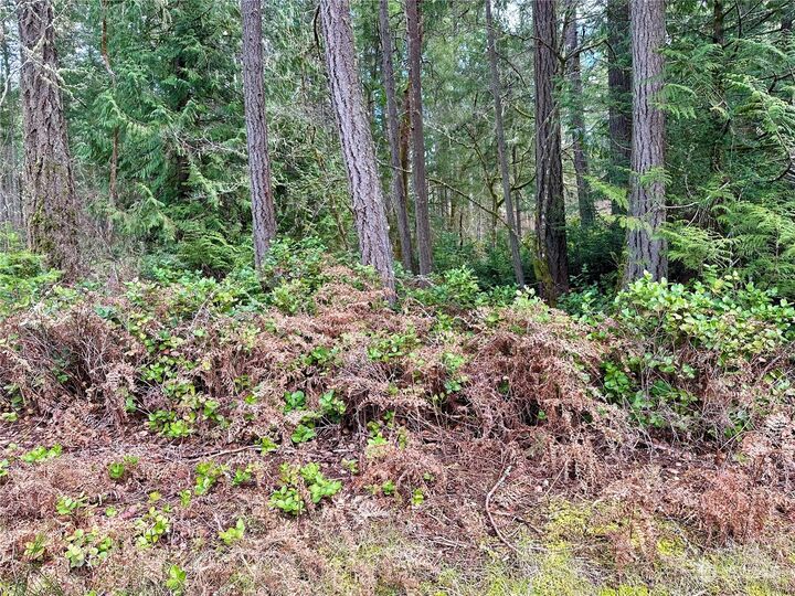 Property Photo:  11824 Dogwood Place  WA 98303 