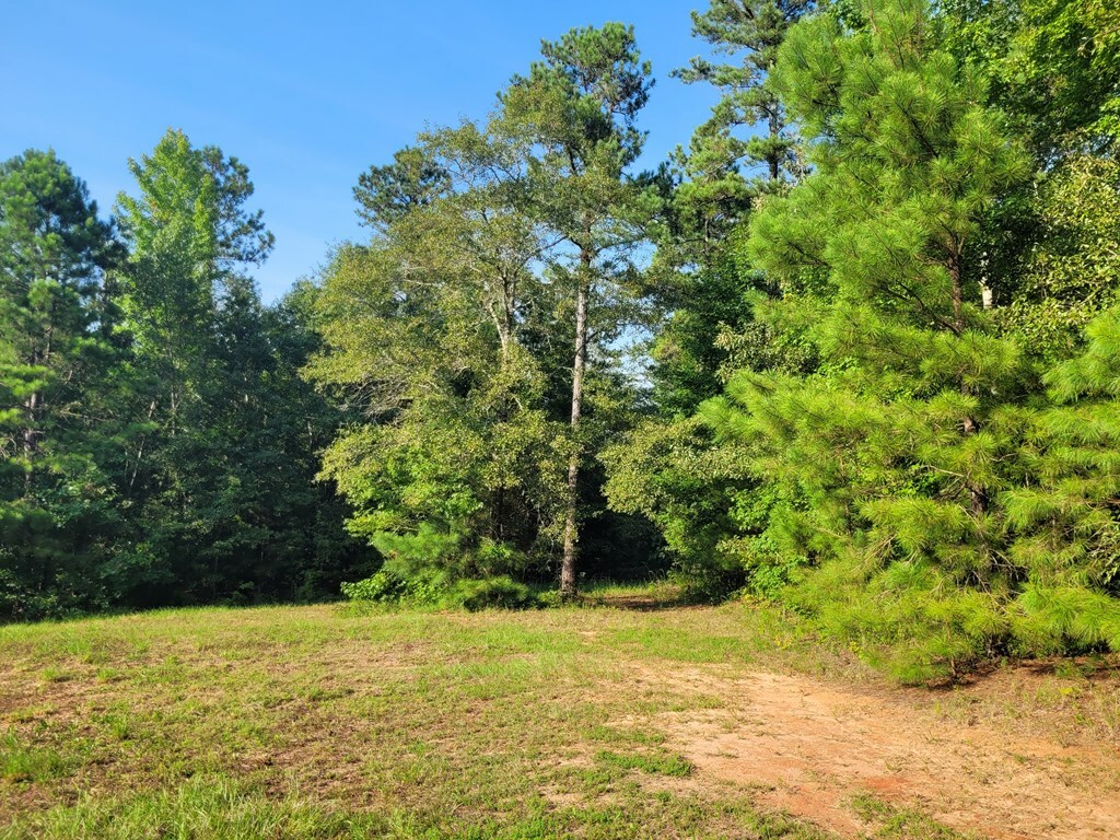 Property Photo:  Catchall Rd  SC 29040 