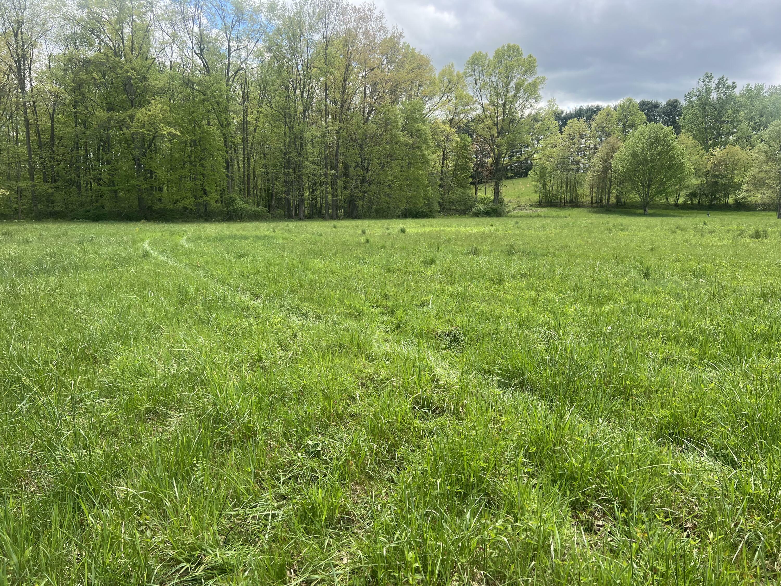 Property Photo: Country Wood Lane WV 24931