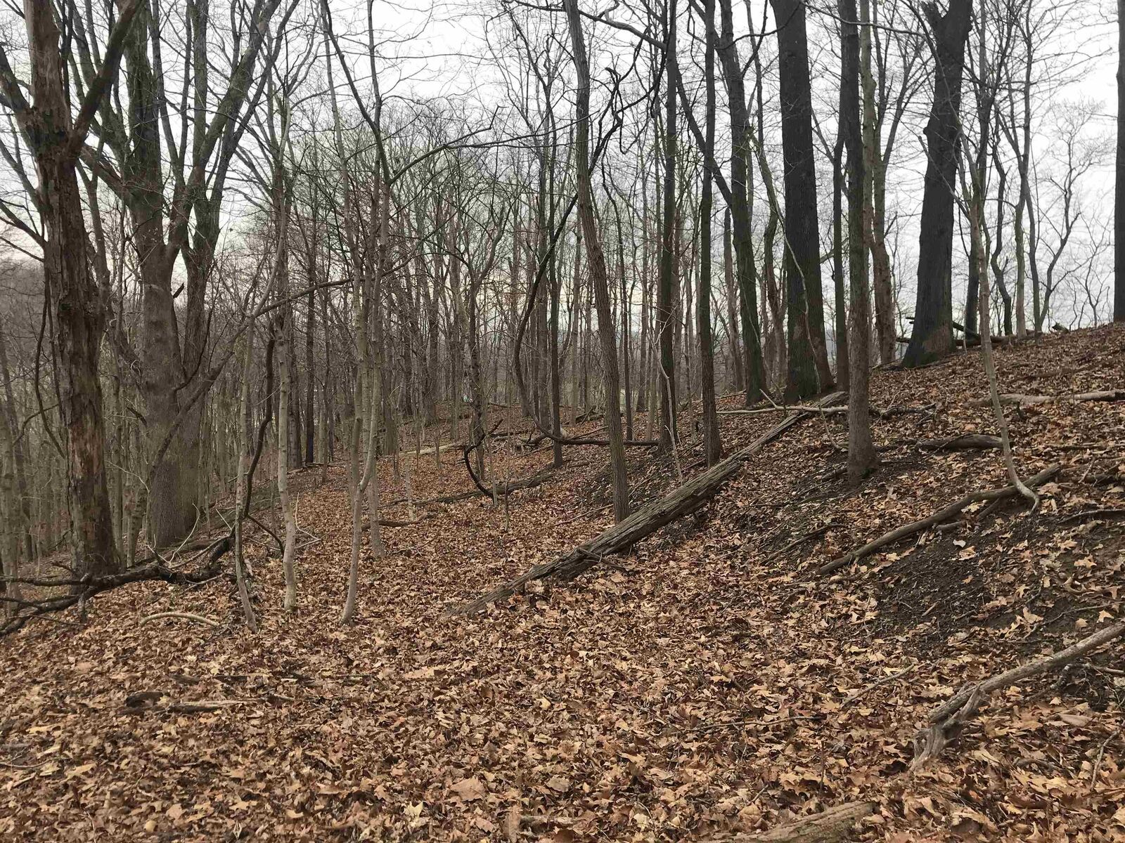 Property Photo: 0 Harvey Road &Amp Kessler Road WV 25701