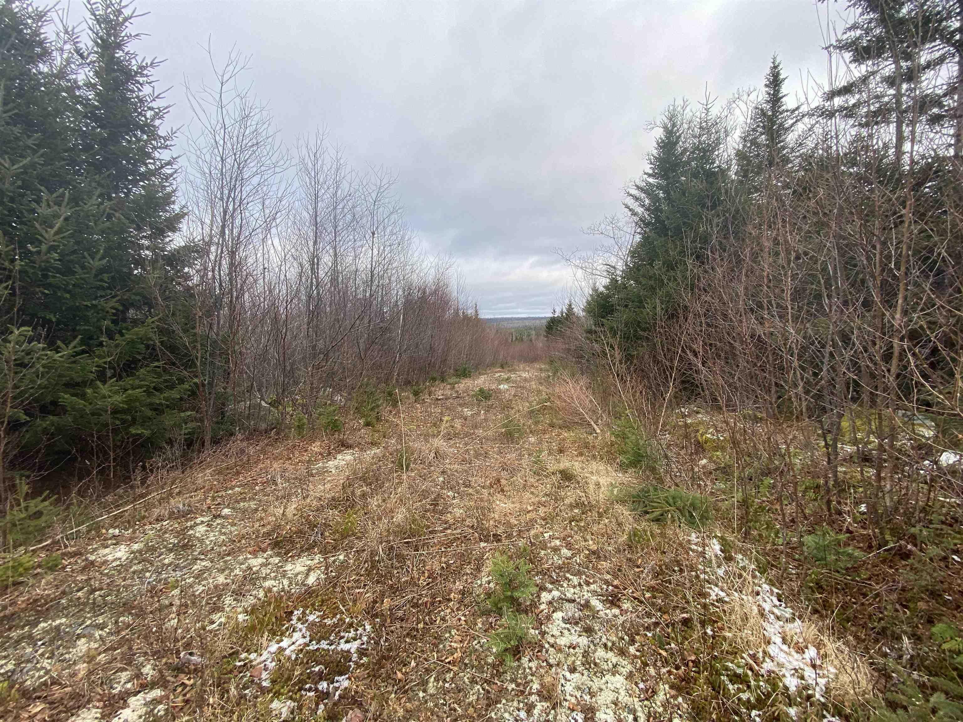 Property Photo:  Lot 22/23 Trafalgar Road  NS B0J 3B0 