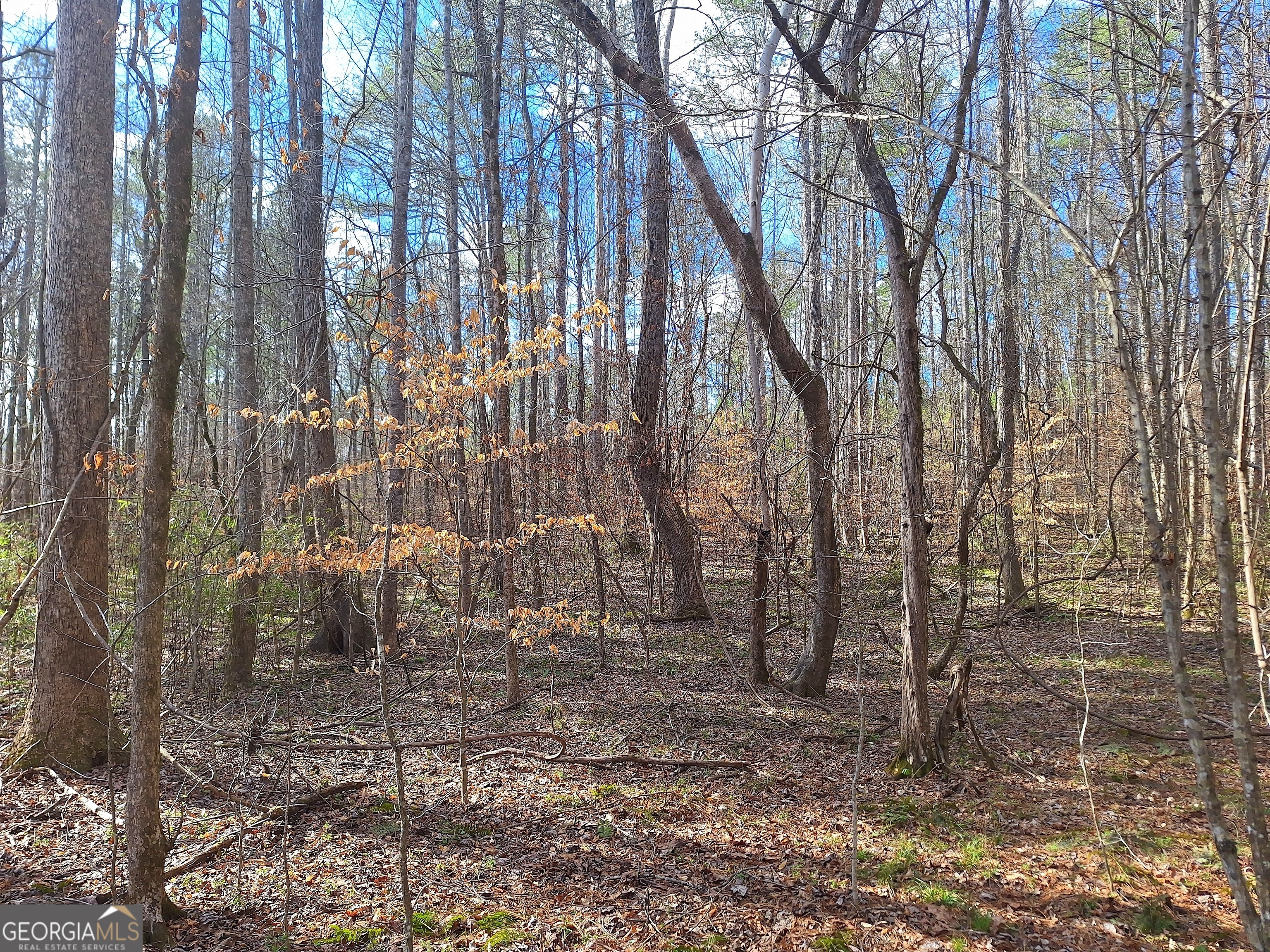 Property Photo:  Tract 4 Highway 16 W  GA 31064 