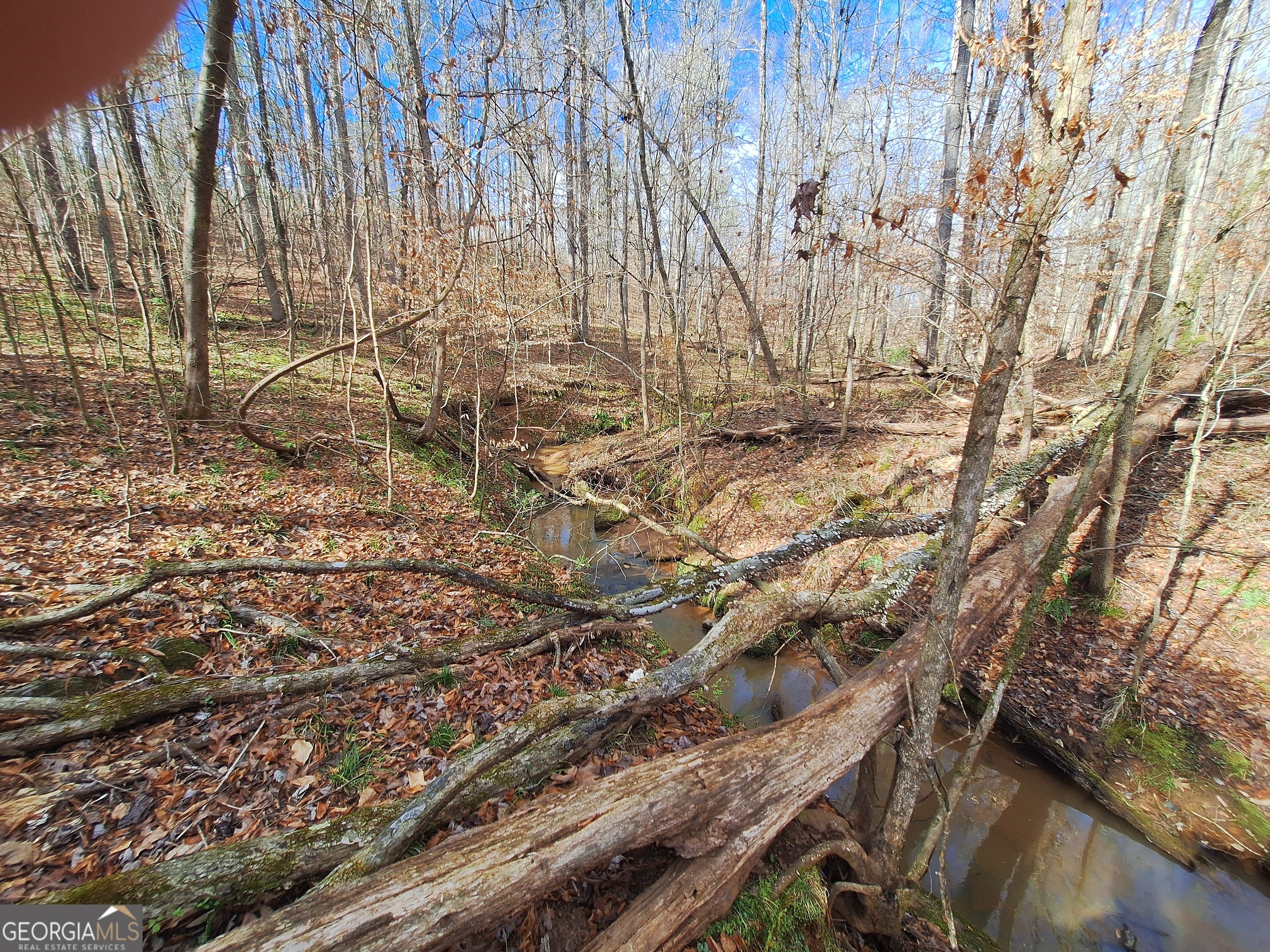 Property Photo:  Tract 4 Highway 16 W  GA 31064 