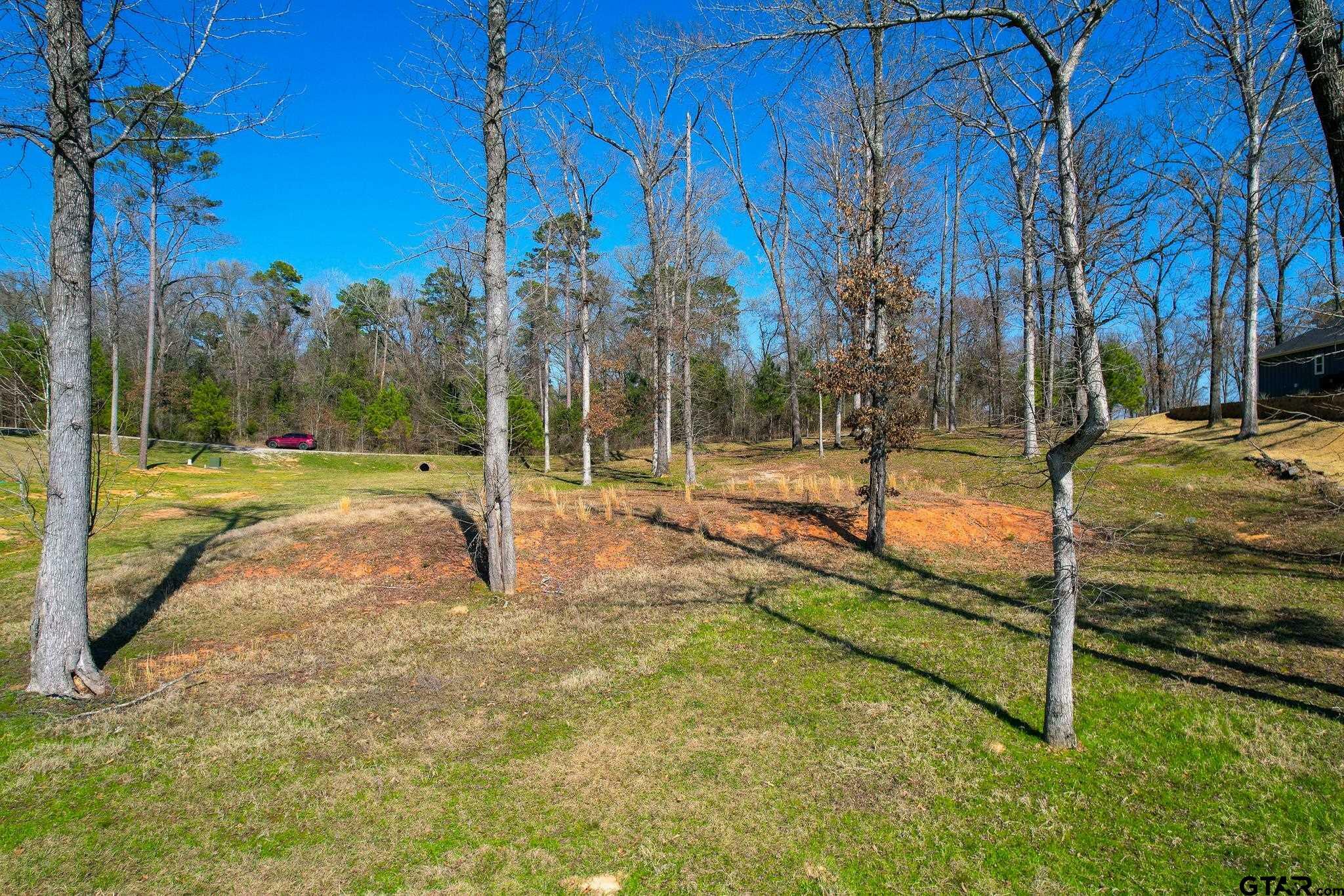 Property Photo:  620 Caddo Point  TX 75480 