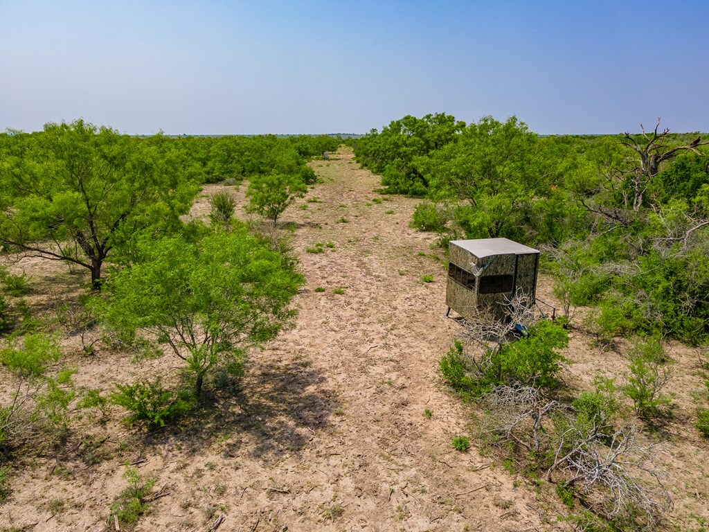 Property Photo:  4984 S Hwy 83  TX 78801 