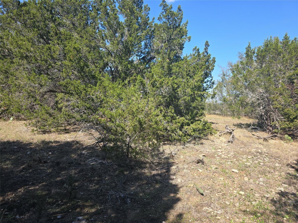 Property Photo:  150 Blessing Ranch Road  TX 78642 