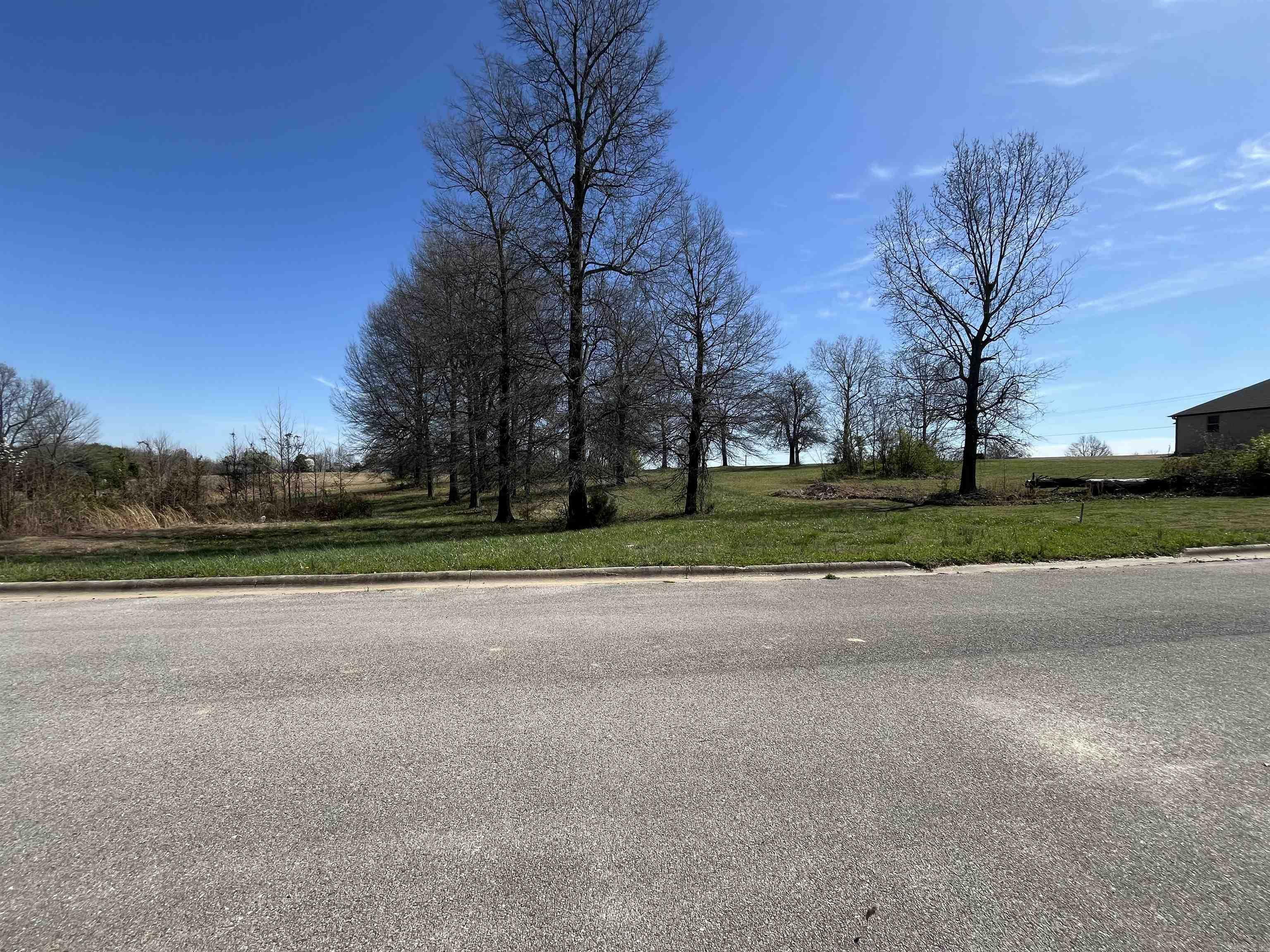 Property Photo:  Lot 21B N 8 1/2 Street  AR 72450 