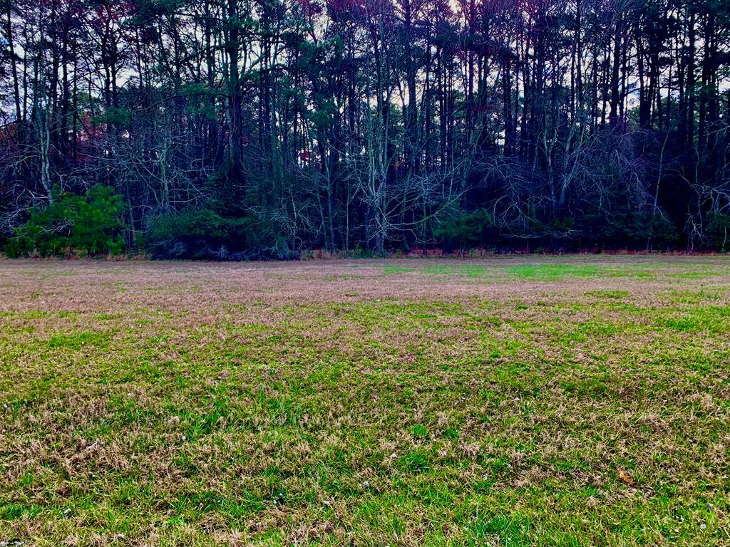 Property Photo:  Lot 69 Octopus  VA 23356 