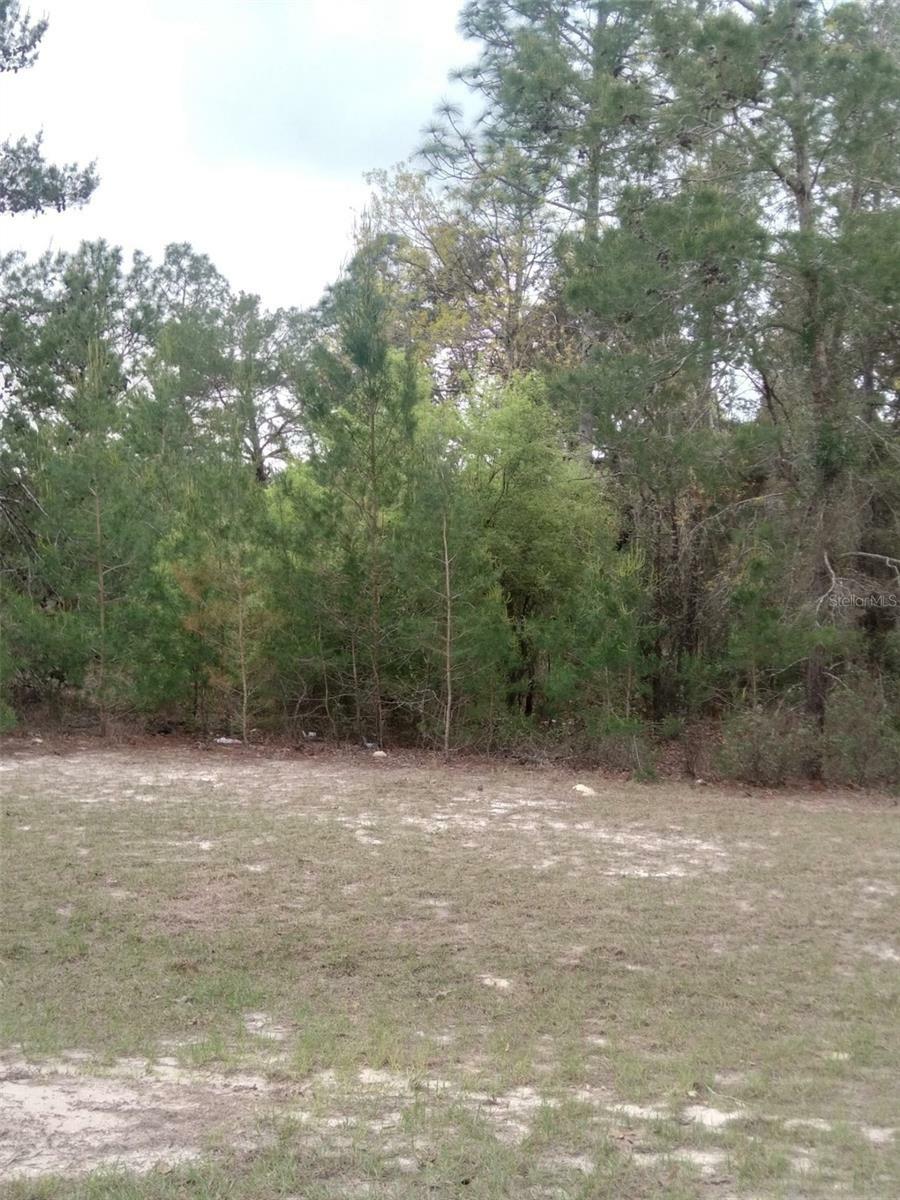 Property Photo:  0 SW 135th Street Road  FL 34473 