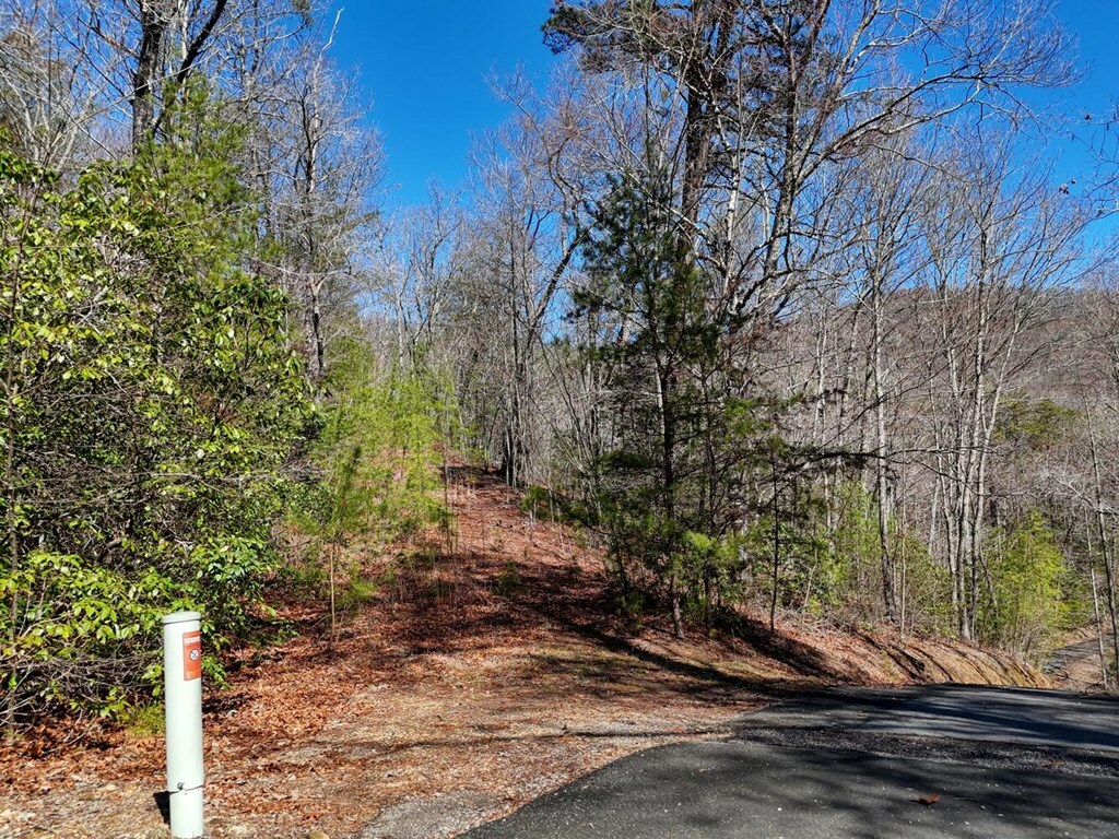 Property Photo:  Lot 24 Mission Ridge Court  NC 28904 